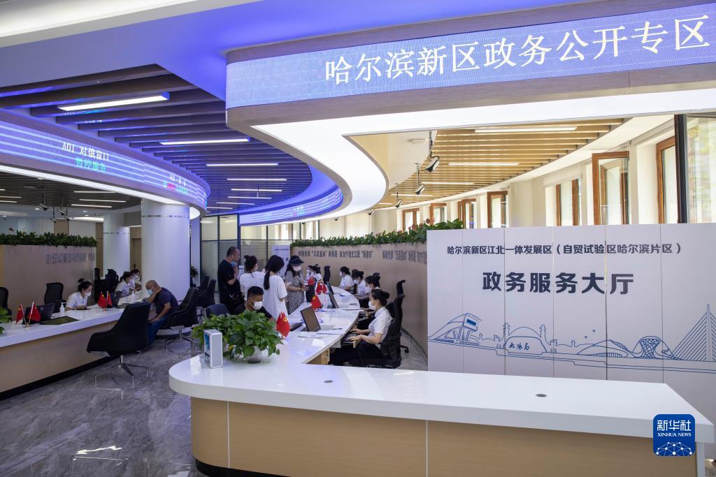 在黑龍江省哈爾濱新區(qū)江北一體發(fā)展區(qū)(自貿(mào)試驗區(qū)哈爾濱片區(qū))政務服務大廳，市民在辦理業(yè)務（2022年7月12日攝）。